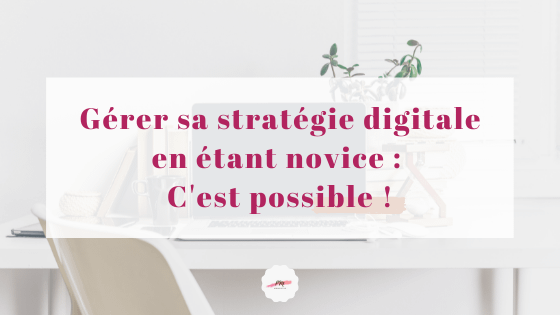 blog-novice-web
